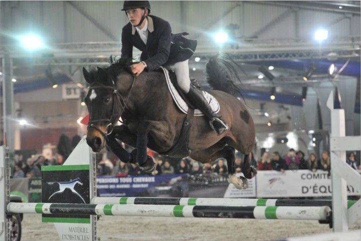 Pension chevaux - Ecurie du loti (67)