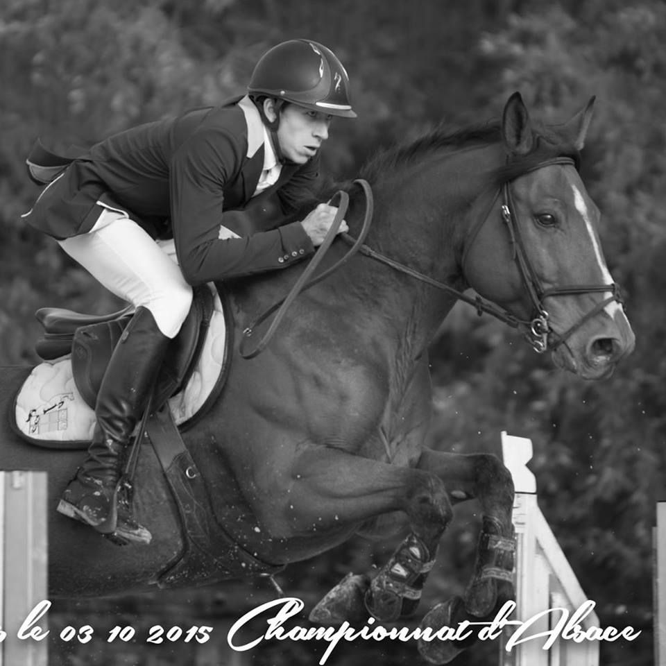 Pension chevaux - Ecurie du loti (67)