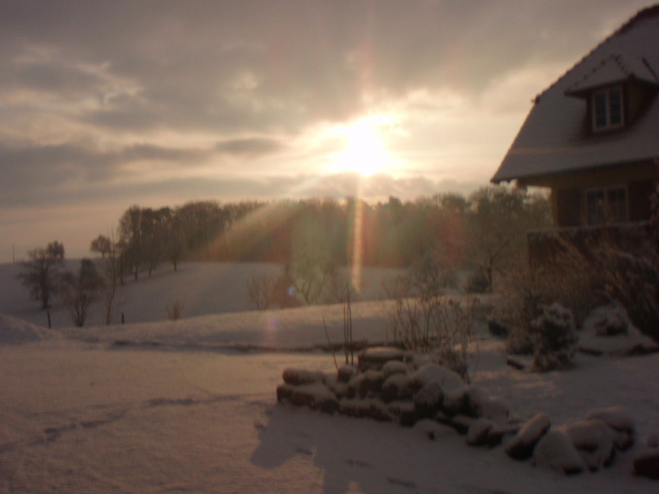 Pension chevaux - Ecurie du loti (67)