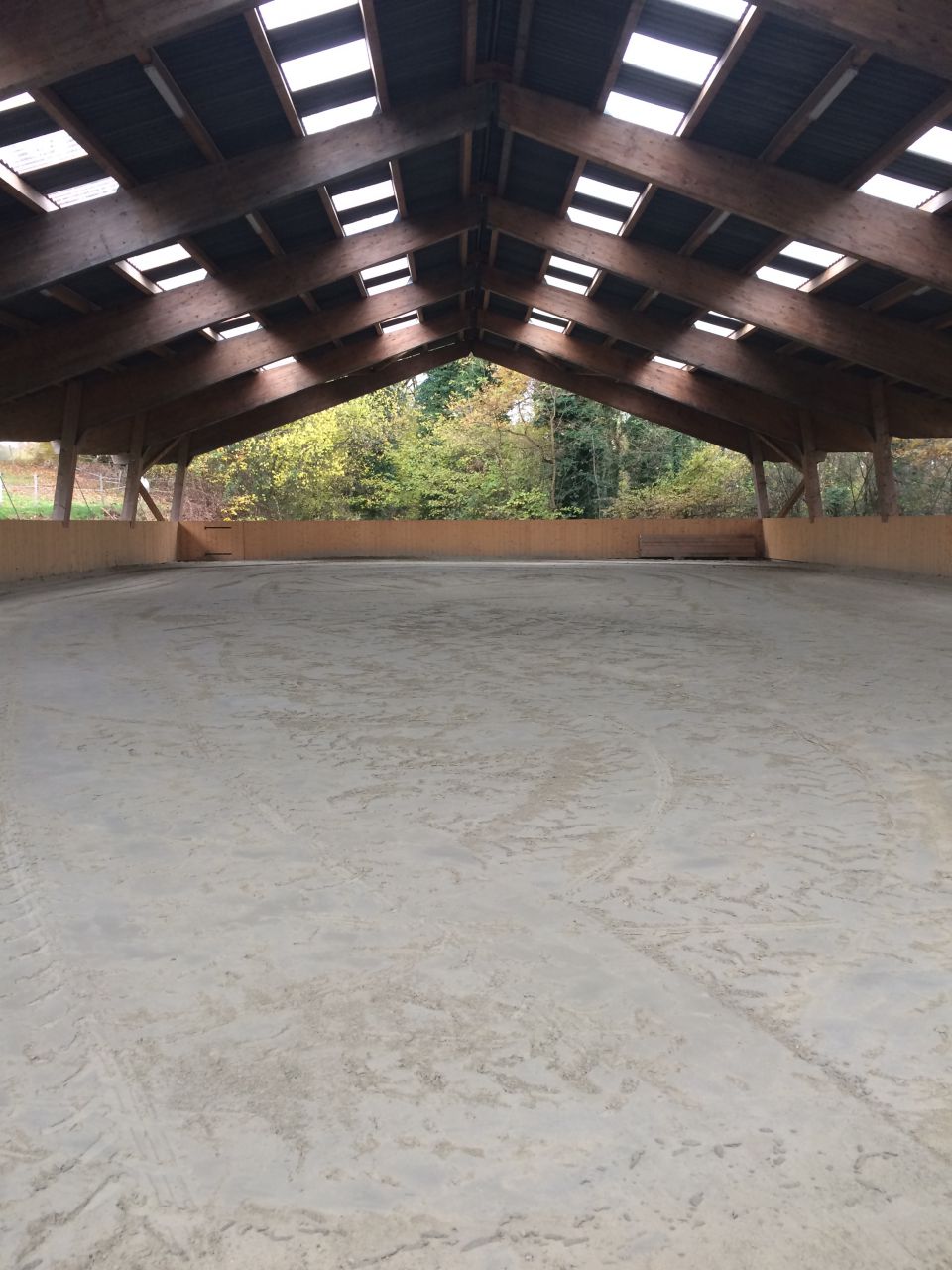 Pension en box avec terrasse