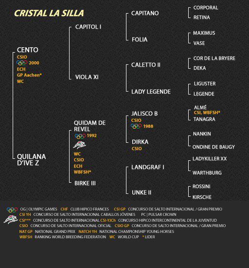 CRISTAL LA SILLA, étalon disponible en monte en main.