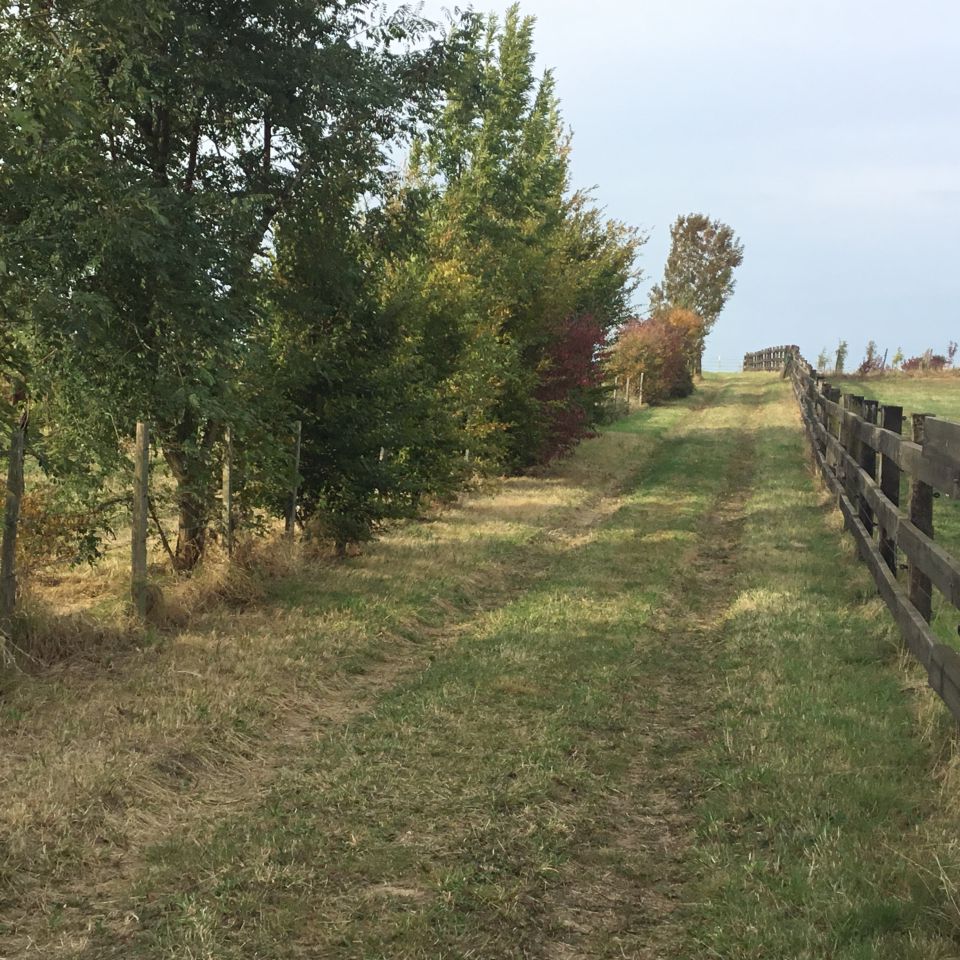 ECURIE DES HAUTS DE CORNAVAN