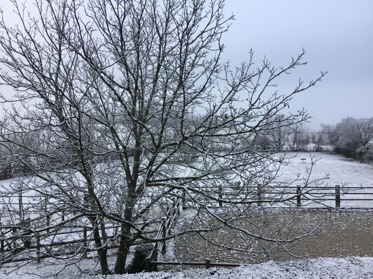 ECURIE DES HAUTS DE CORNAVAN