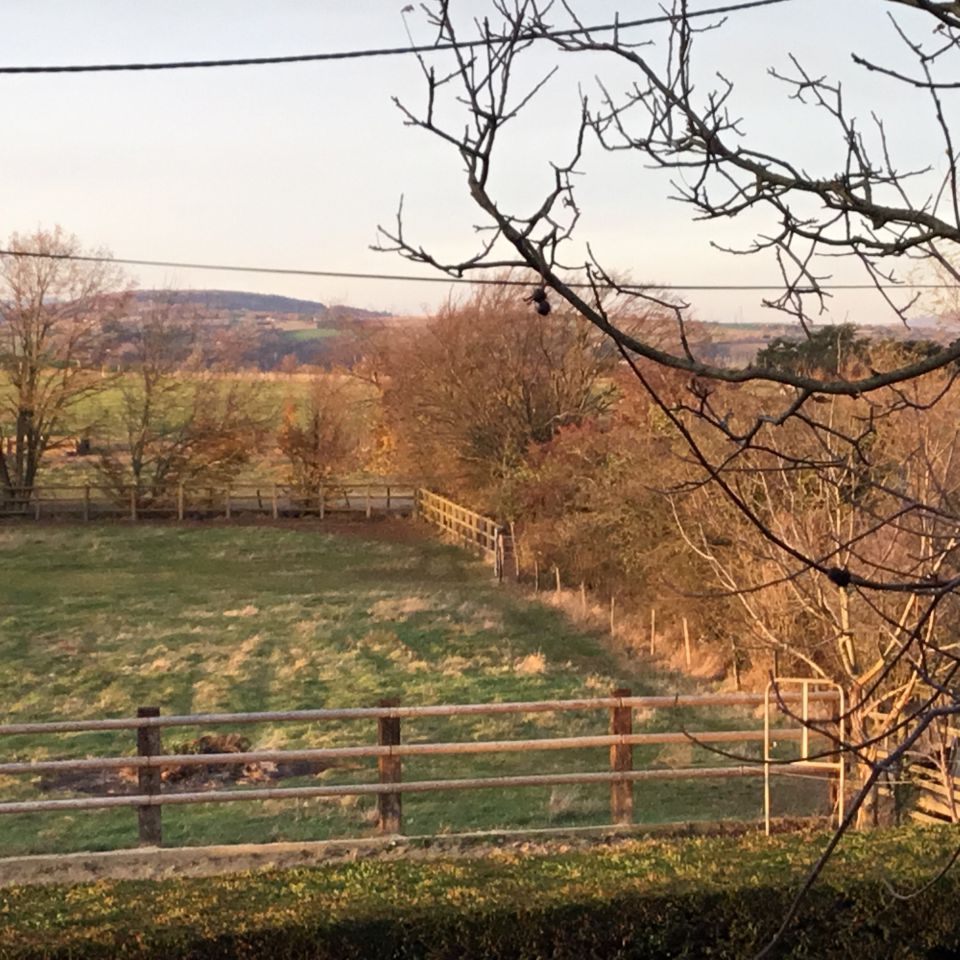 ECURIE DES HAUTS DE CORNAVAN