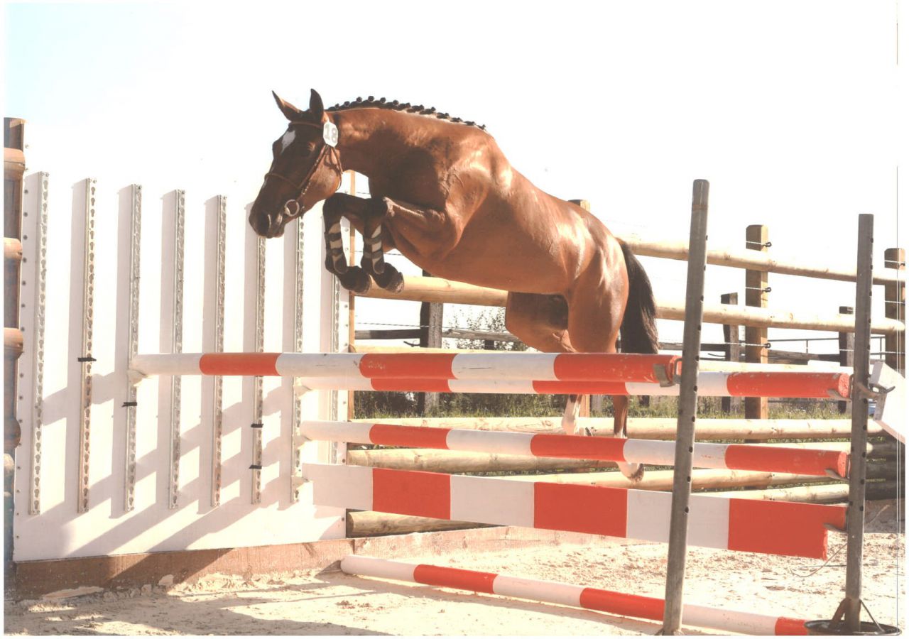 ECURIE DES HAUTS DE CORNAVAN