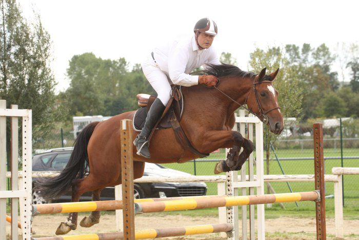 ECURIE DES HAUTS DE CORNAVAN