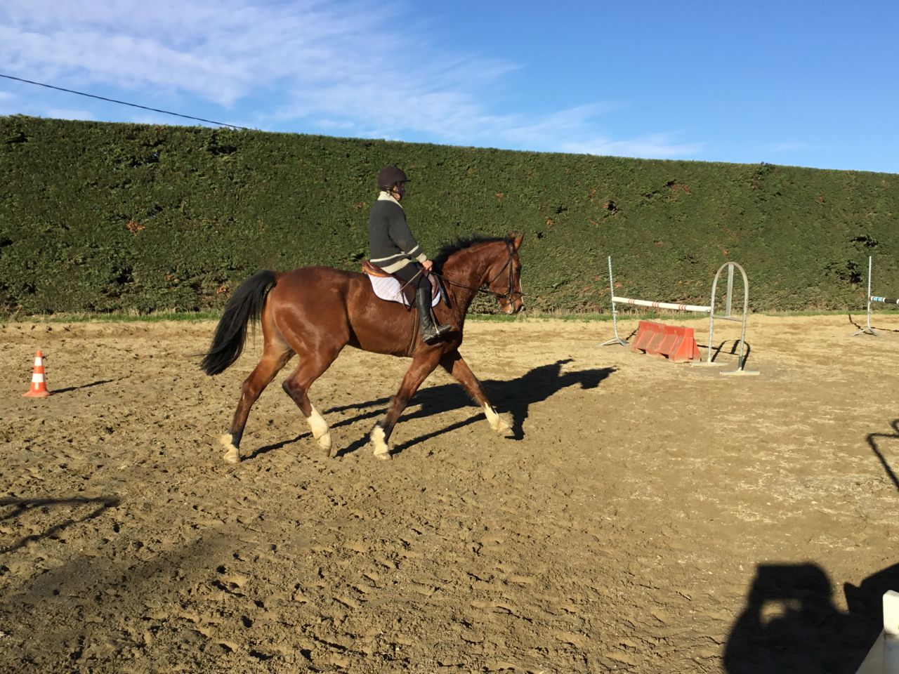 ECURIE DES HAUTS DE CORNAVAN