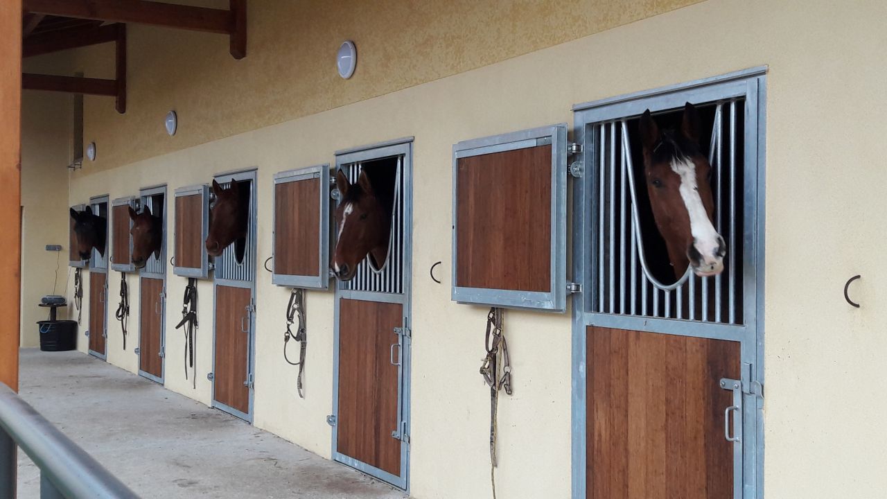 ECURIE DES HAUTS DE CORNAVAN