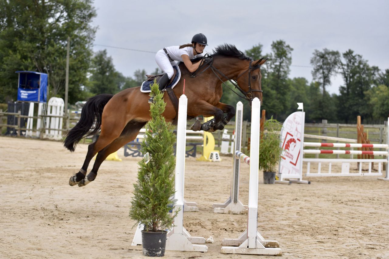 ECURIE DES HAUTS DE CORNAVAN