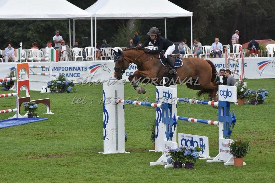 NOUVEAU Ecurie competition CSO 