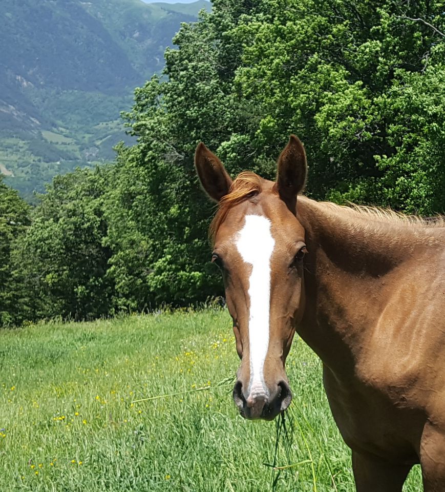 Hazyna, une princesse russe, dans l'écoute et l'énergie