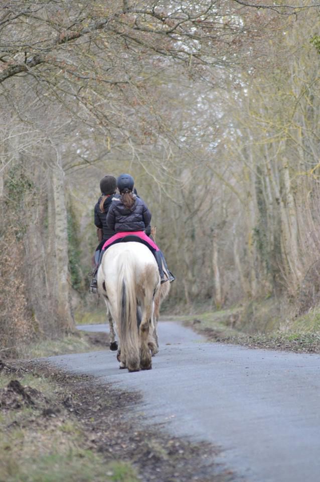 balade randonnée à cheval 