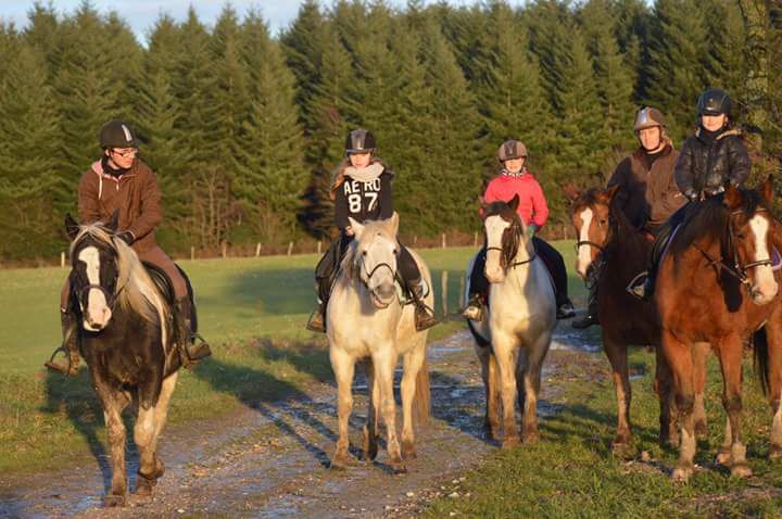 balade randonnée à cheval 