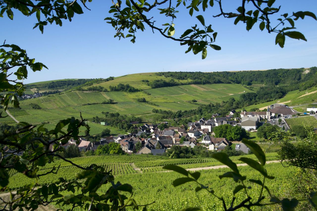 balade randonnée à cheval 