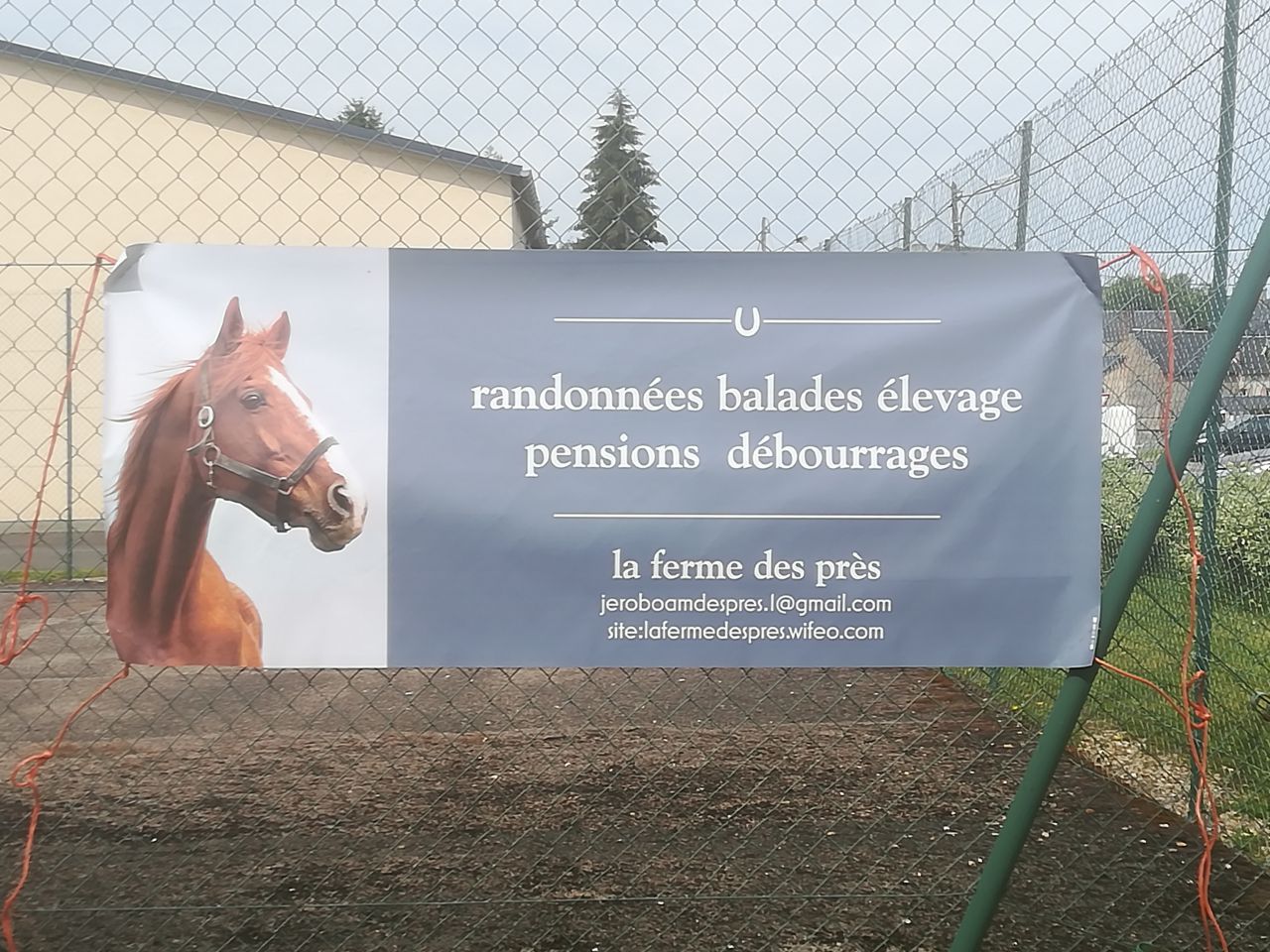 balade randonnée à cheval 