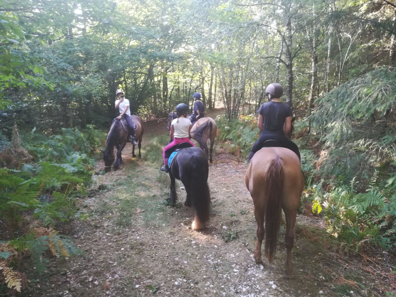 balade randonnée à cheval 