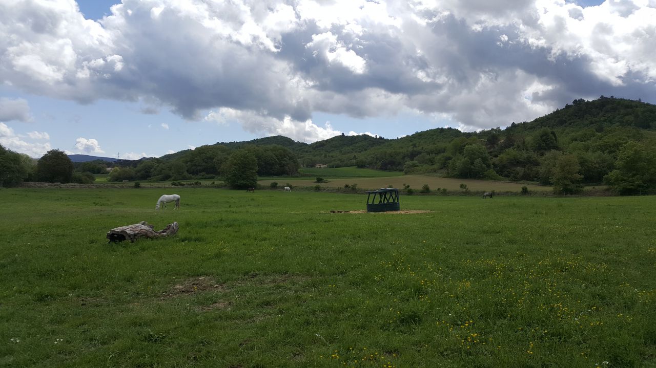Gîte équestre 130m2 8 personnes au cœur du Lubéron