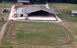 Pension propri&eacute;taire, Quarter Horse Dream 