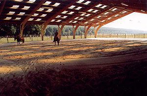 Pension propri&eacute;taire, Quarter Horse Dream 