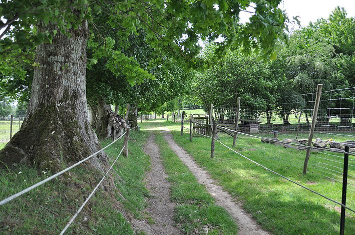 Pension Pré/Box, manège 