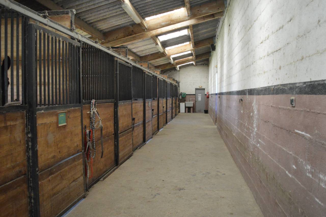 PENSION CHEVAUX ET ECOLE D'EQUITATION