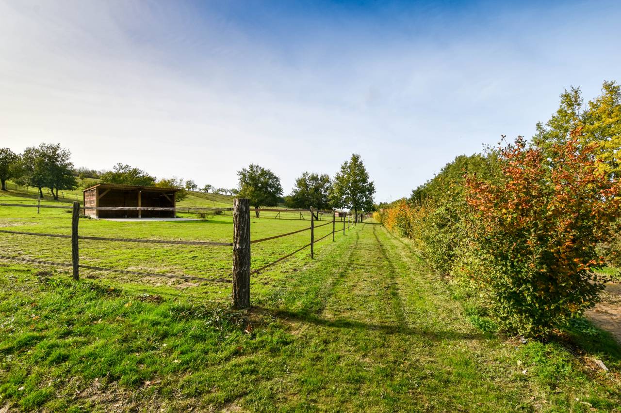 Pension chevaux 100% pré