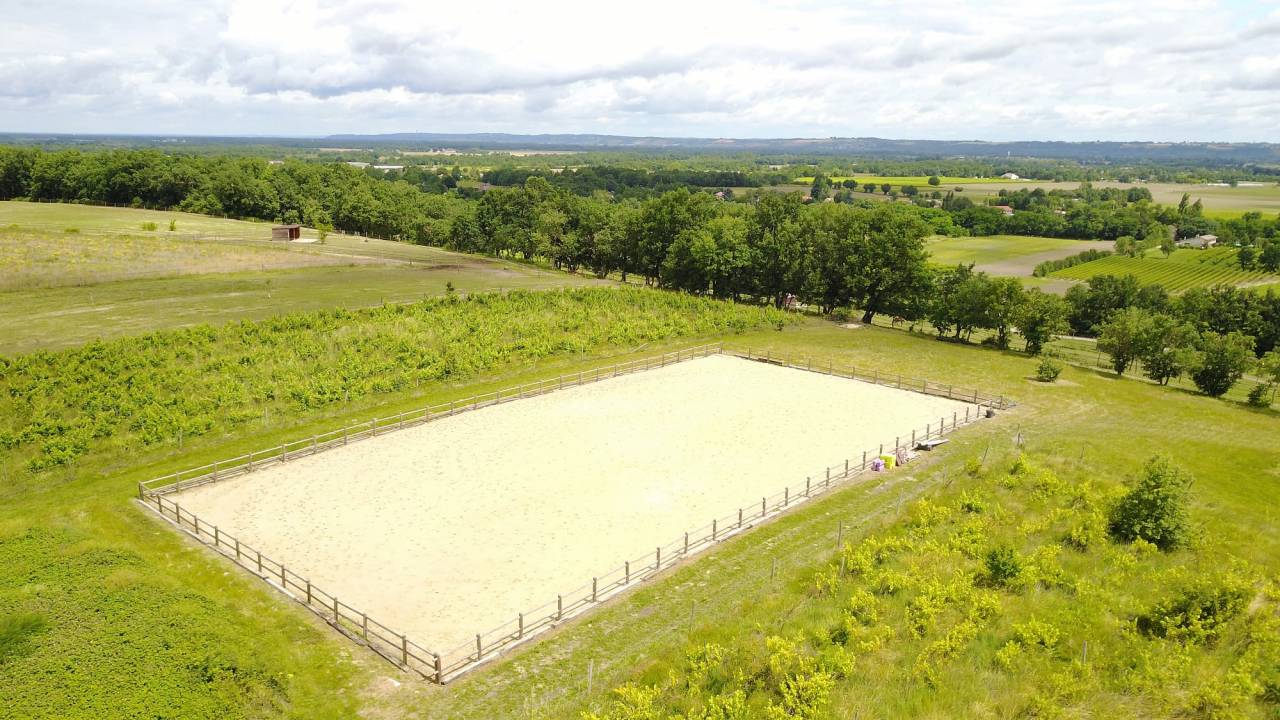 Pension chevaux 100% pré