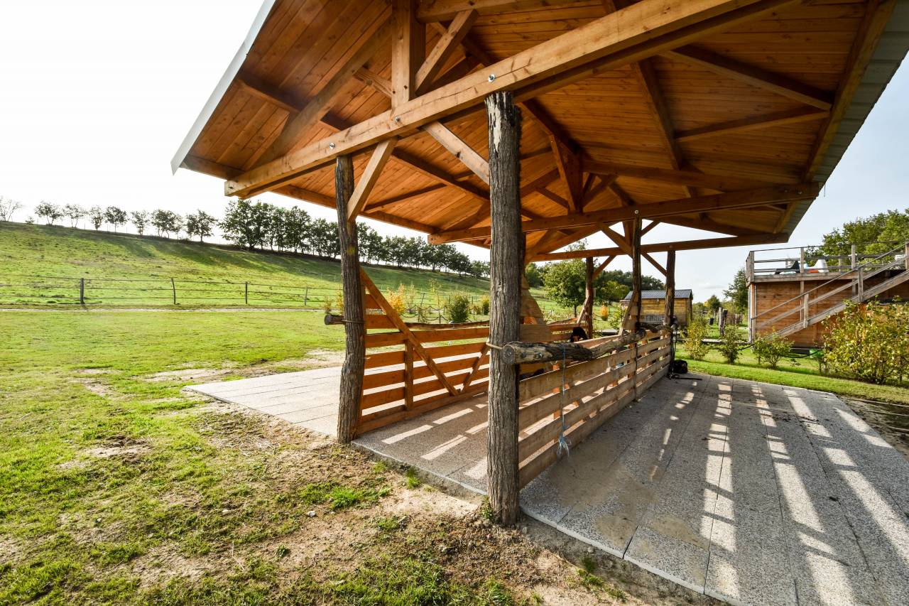 Pension chevaux 100% pré