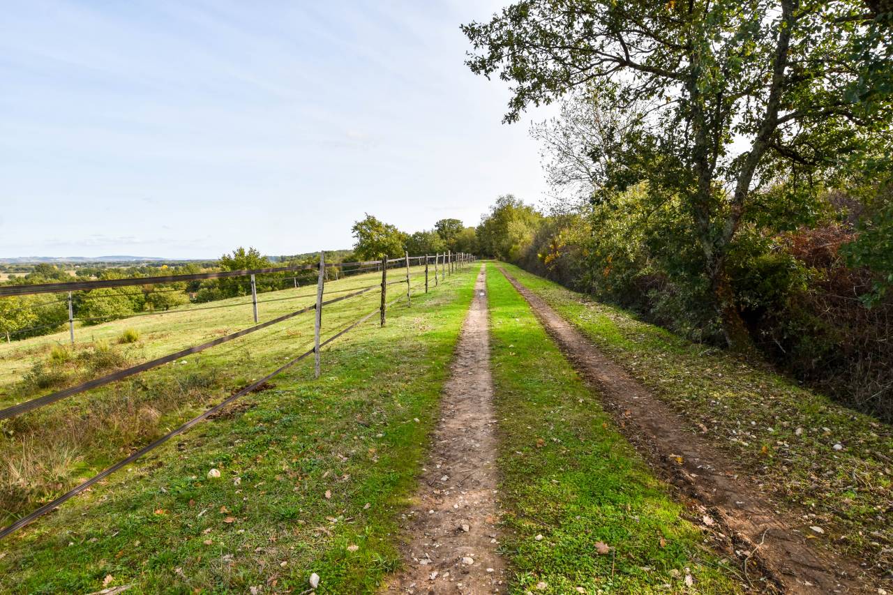 Pension chevaux 100% pré