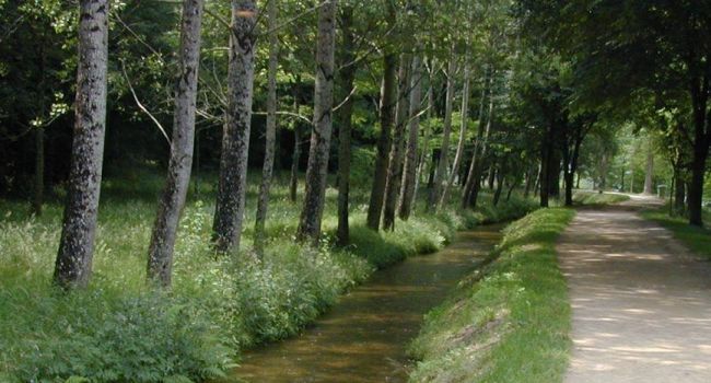 Pension chevaux - Ecuries de Cinquante (31)