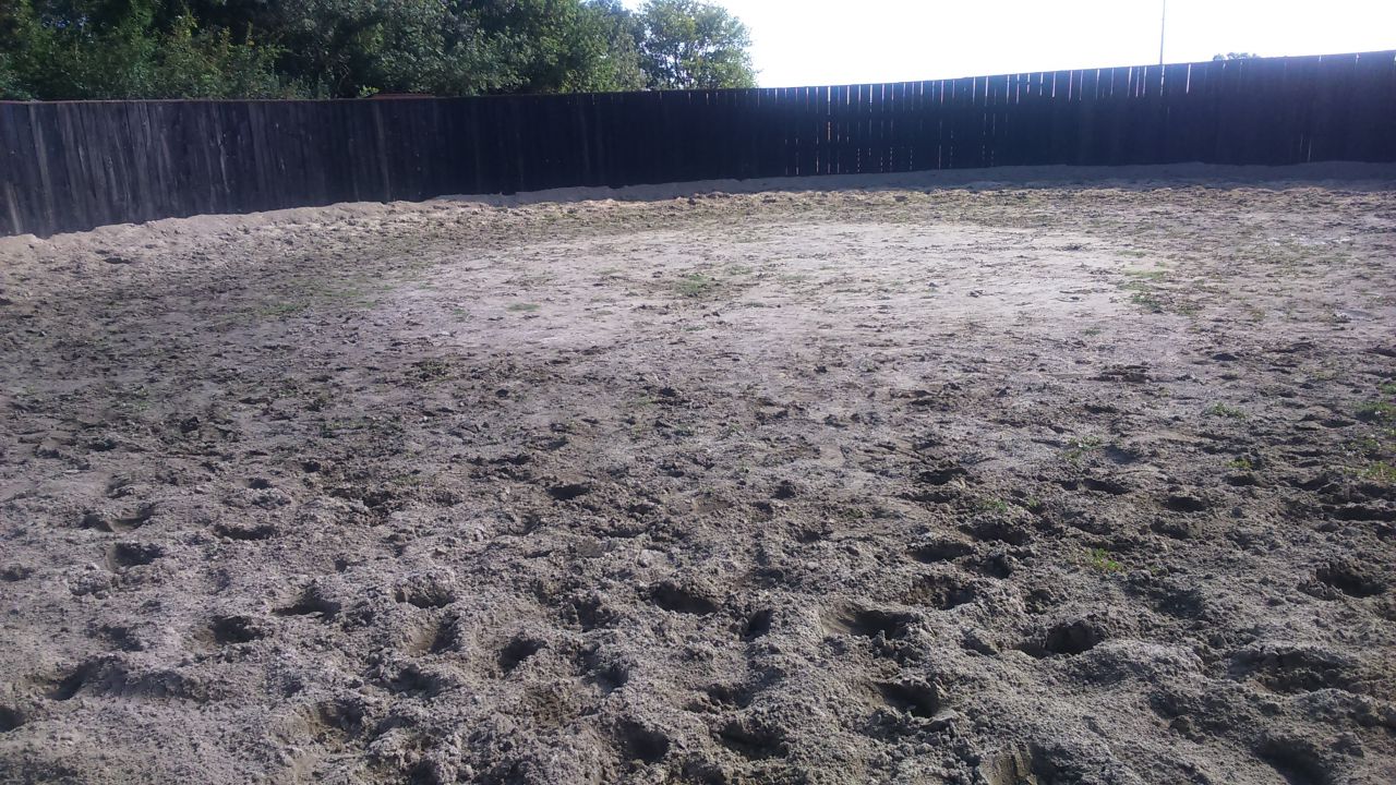 Pension chevaux - Ecuries de Cinquante (31)