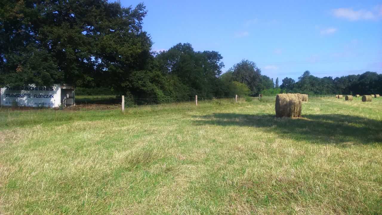 Pension chevaux - Ecuries de Cinquante (31)