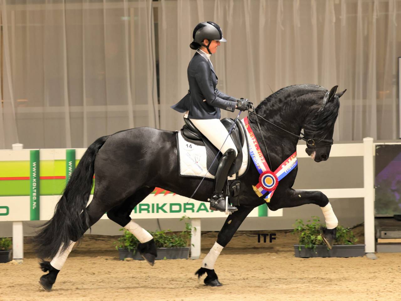  Centre insémination - Poulinage