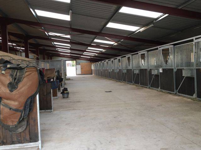 Elevage  / Pension /Paddocks