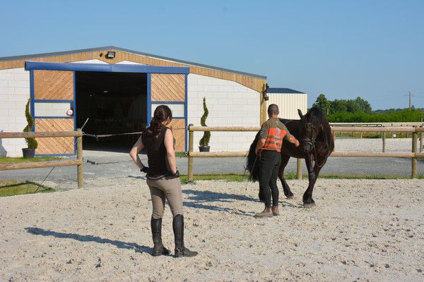 Ecurie de propriétaires Haras du Graffard