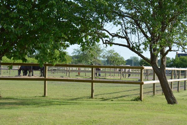 Ecurie de propriétaires Haras du Graffard