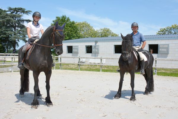 Ecurie de propriétaires Haras du Graffard