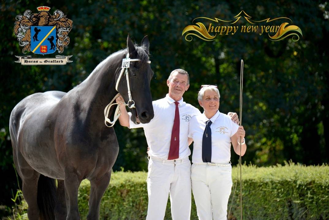 Ecurie de propriétaires Haras du Graffard