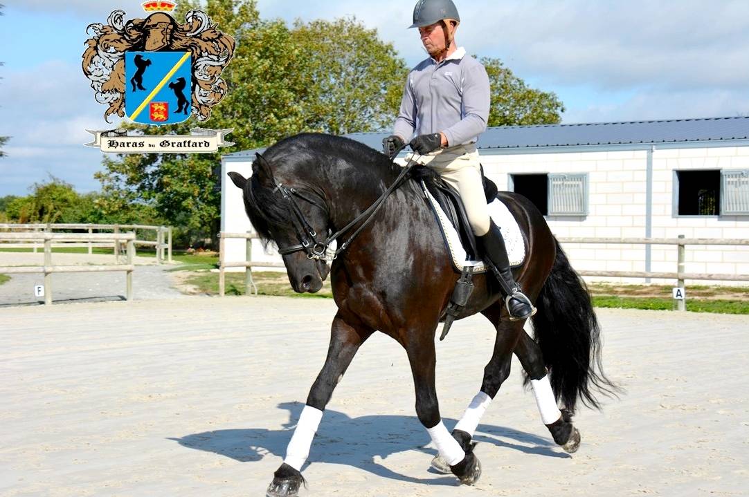 Ecurie de propriétaires Haras du Graffard