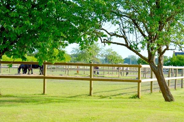 Ecurie de propriétaires Haras du Graffard