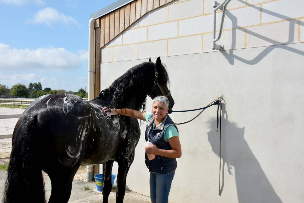 Ecurie de propriétaires Haras du Graffard