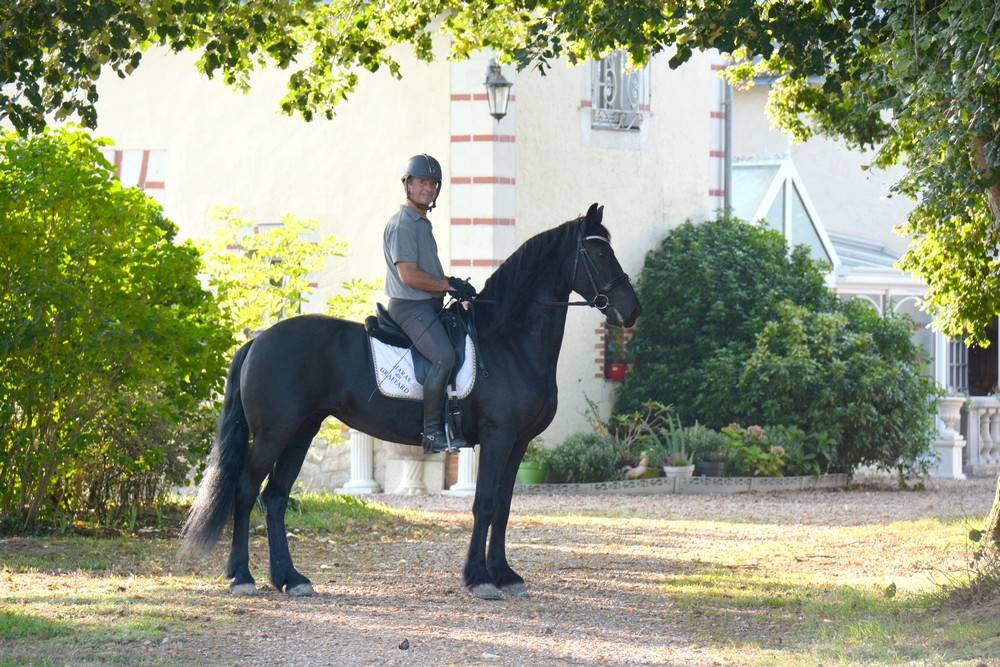 Ecurie de propriétaires Haras du Graffard