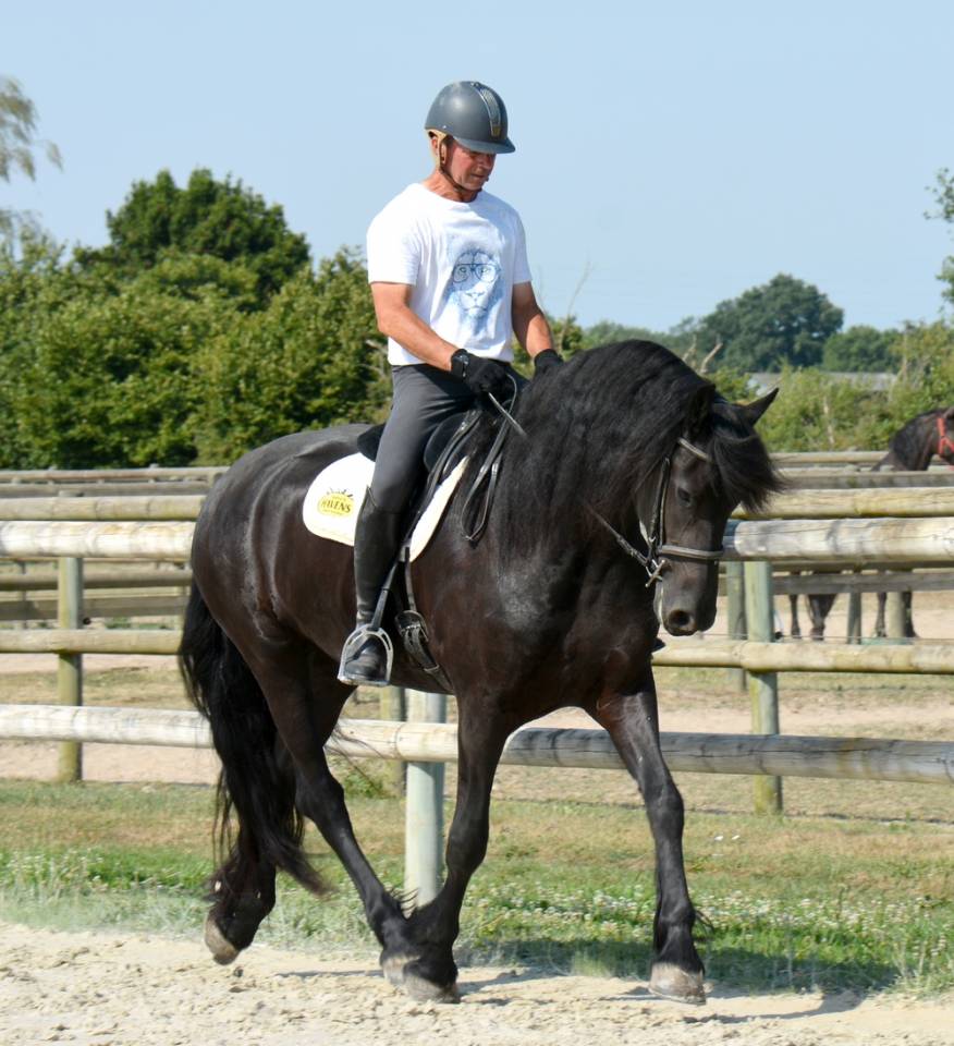 Ecurie de propriétaires Haras du Graffard