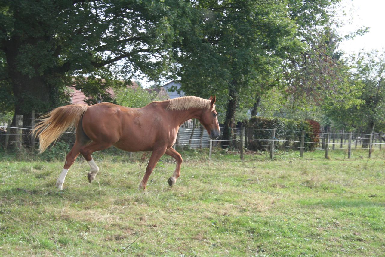 Maison de retraite et de convalescence pour &eacute;quid&eacute;s