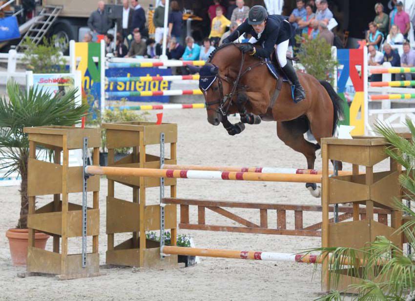 Contact van de Heffinck - Holst - Bai - 171cm