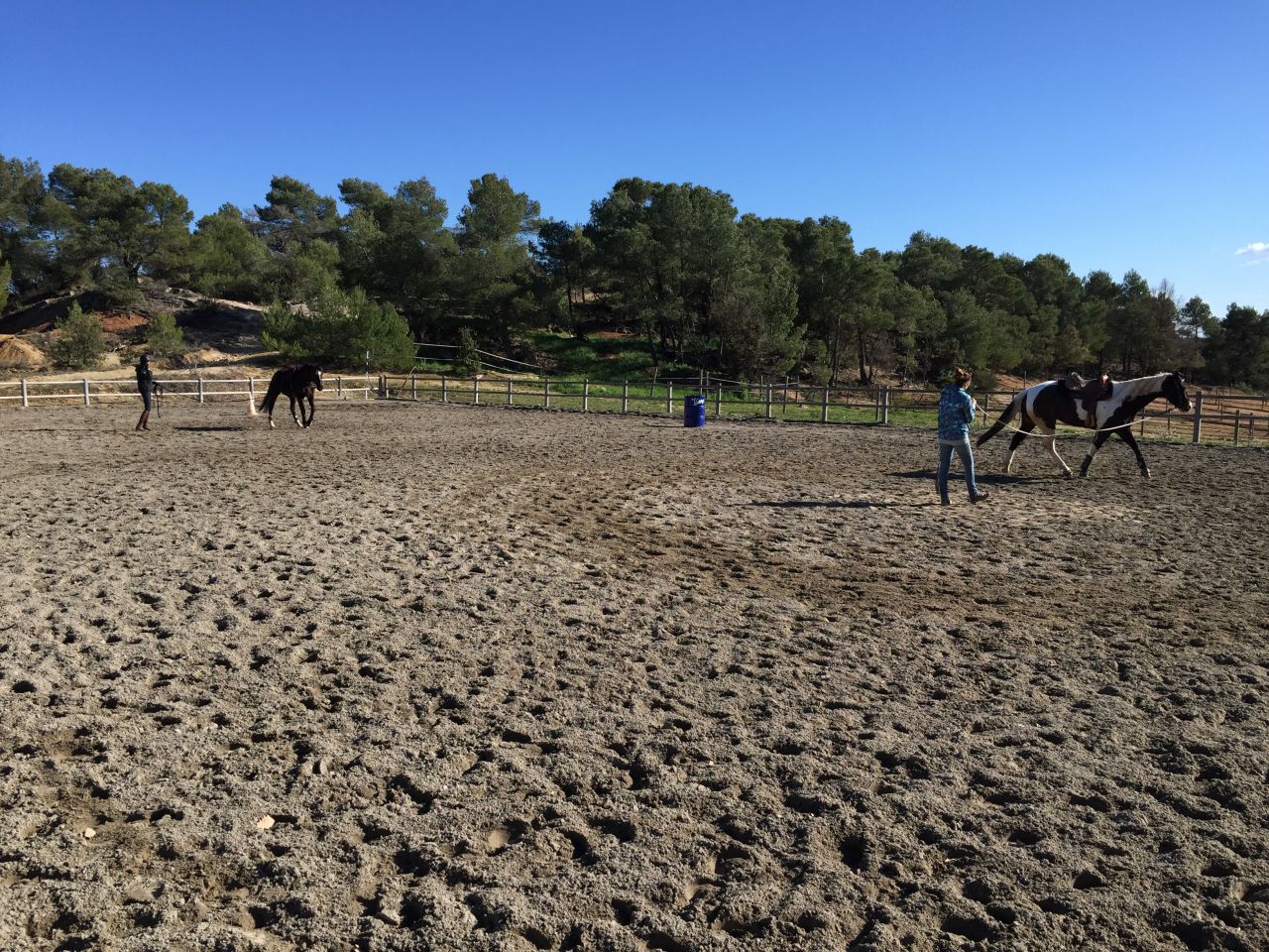 Belle structure pour chevaux 