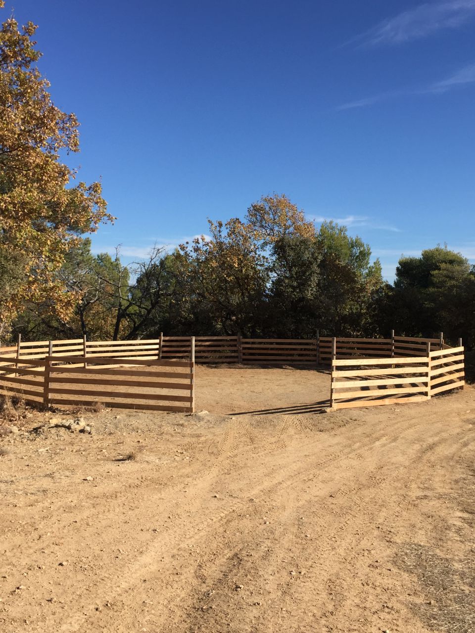 Belle structure pour chevaux 