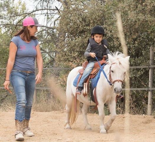 Belle structure pour chevaux 