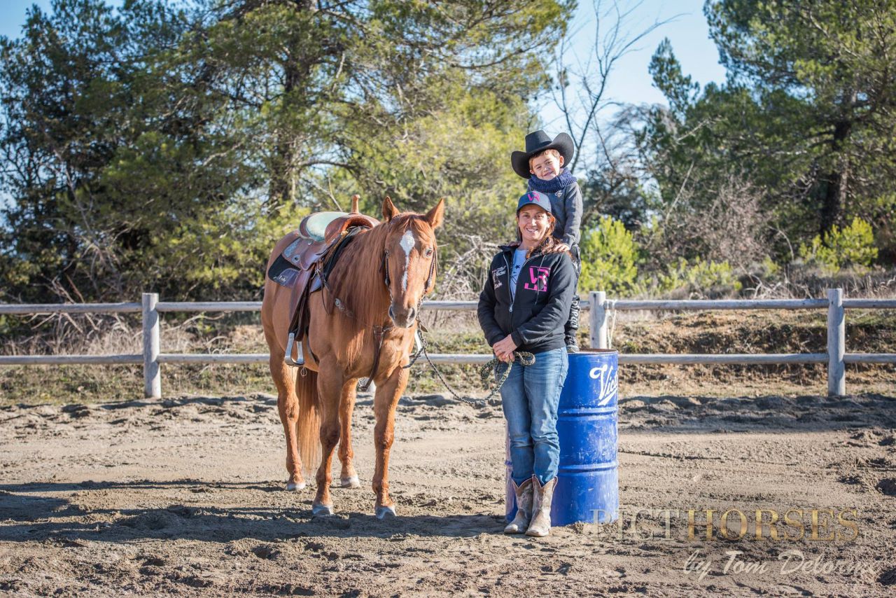 Belle structure pour chevaux 