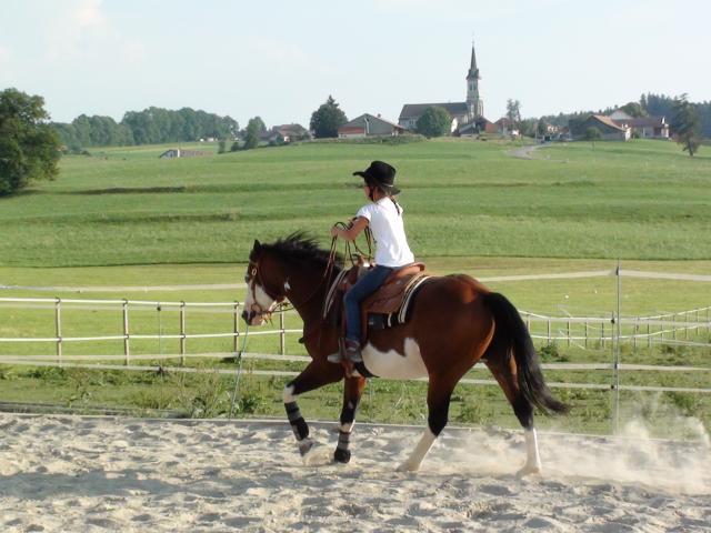 Saillies de Wash Bar Leo, paint horse pleins papiers